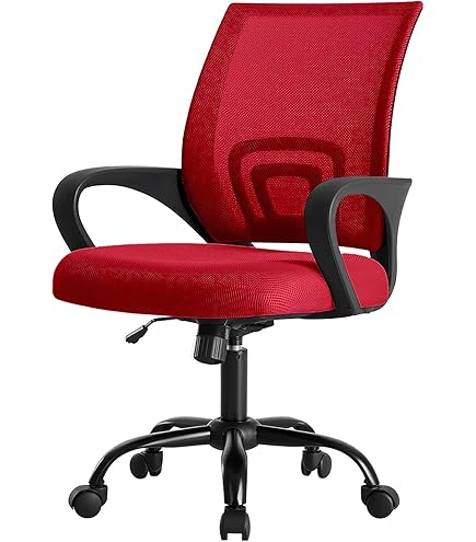 Amazon.com: PayLessHere Office Computer Chair Ergonomic Cheap Desk